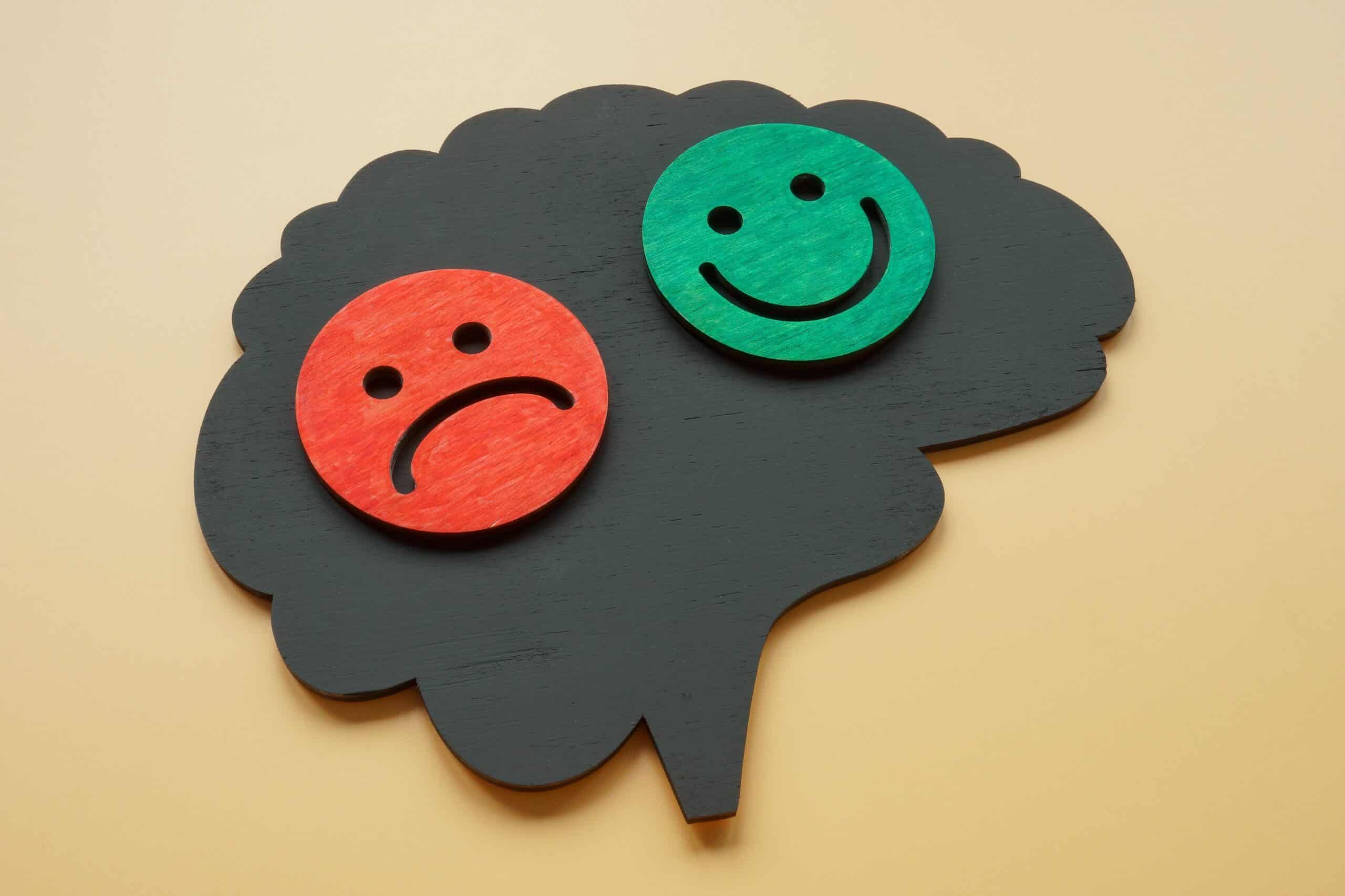 a black cut out of a brain with a red sad safe and a green smiley face indicating bipolar diorder