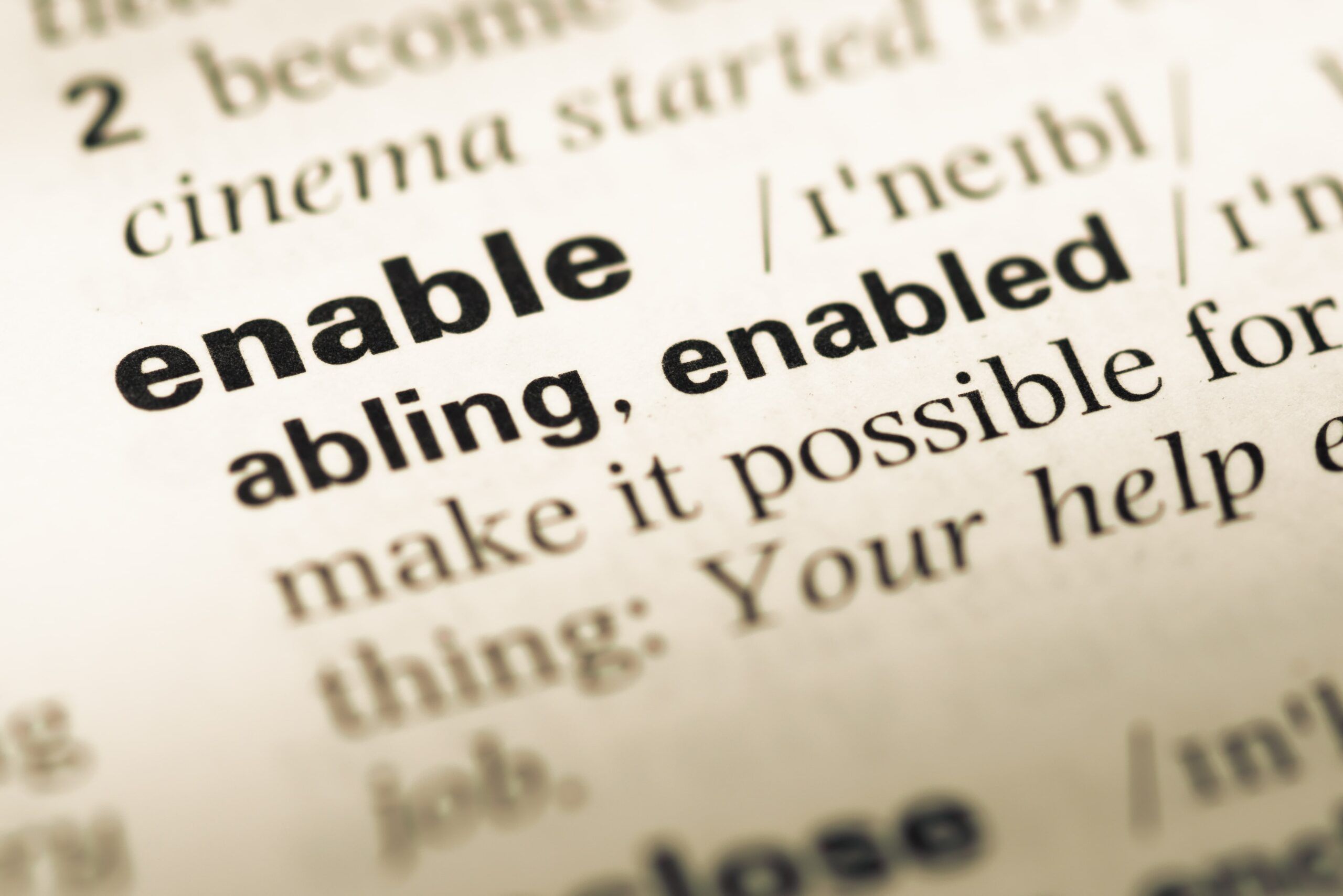 the words enable in a dictionary close up