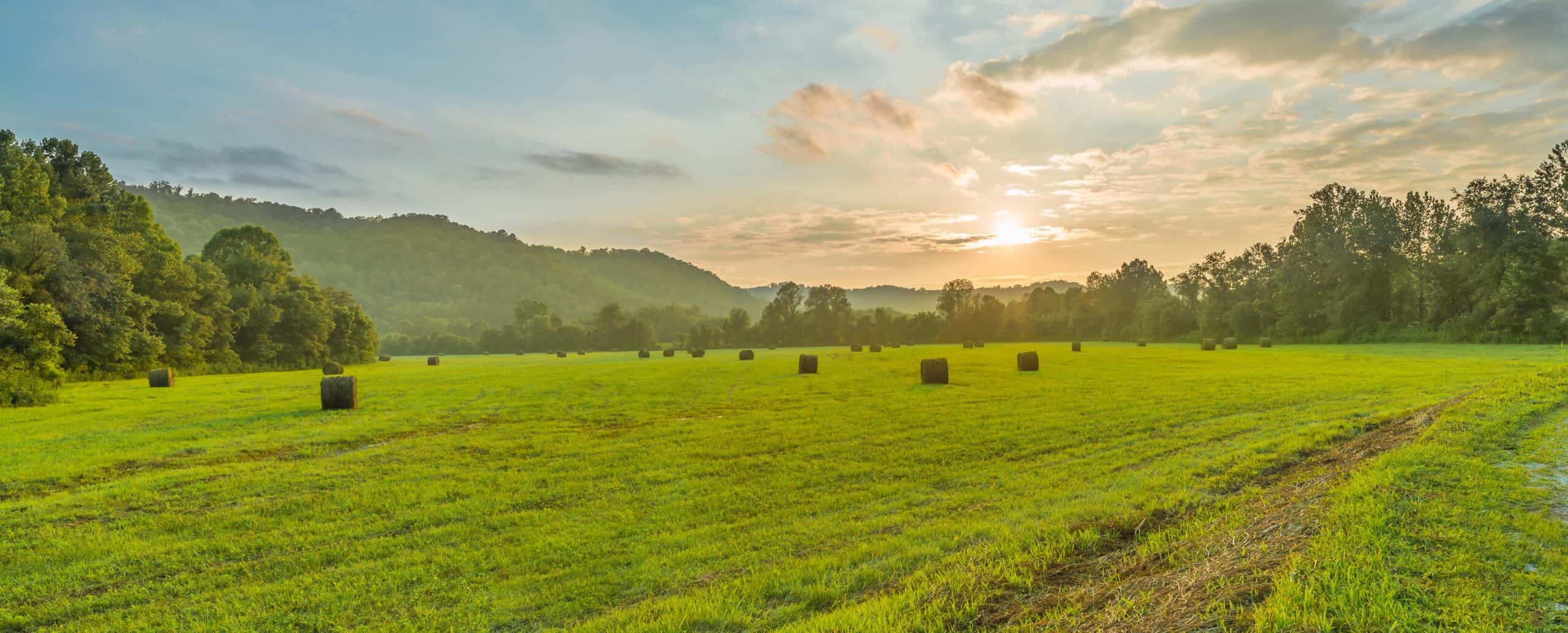 Rehab Near Covington, KY Lexington Addiction Center